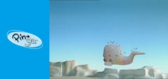 The Pingu Show Sezon 1 Odcinek 10