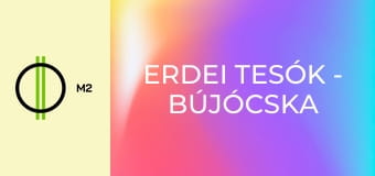 Erdei tesók - Bújócska