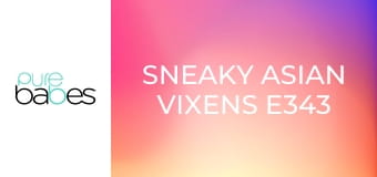 Sneaky Asian Vixens E343