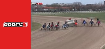 Lóverseny - Ügetőfutamok, Kincsem Park, premier, élő, HD