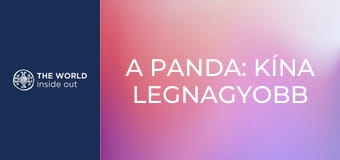 A panda: Kína legnagyobb kincse. Élet egy hegyi faluban. Kína.