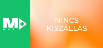Nincs kiszállás