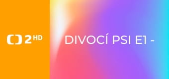 Divocí psi E1 - Šelmy psovité – mistři adaptace