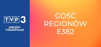 Gość regionów E382