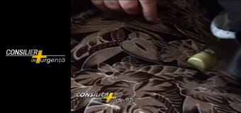 Consilier de urgență - Episodul 14