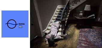 Brown atya S5E13 - A Tanganyika zöldje