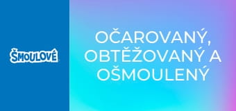 Očarovaný, obtěžovaný a ošmoulený Očarovaný, obtěžovaný a ošmoulený