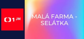 Malá farma - Selátka a křepelky