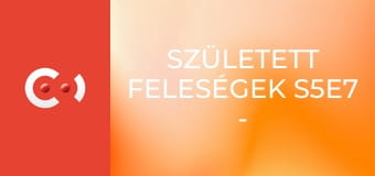 Született feleségek S5E7 - Mi vajon a szíved tárgya?