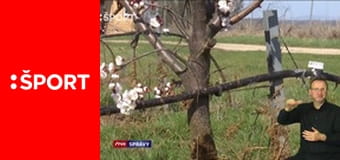 Góly-body-sekundy E79