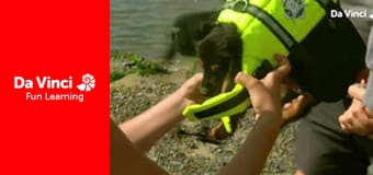 Matilda and the Ramsay Bunch - The Massive Jump