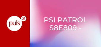 Psi patrol S8E809 - Pieski ratują wyprawę po skarb / Pieski ratują rakietowego Rydera