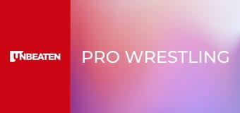 Pro Wrestling
