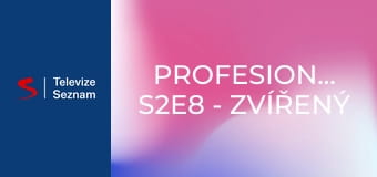 Profesionálové S2E8 - Zvířený prach