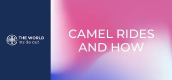 Tevegelés és a mongolok titka – hogyan élik túl a hideget? Kína.