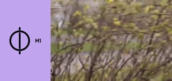 Időjárás-jelentés