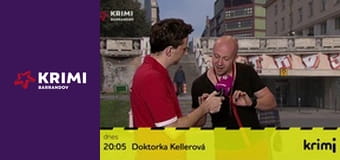 Politická střelnice