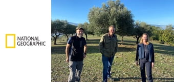 Polacy pod Monte Cassino