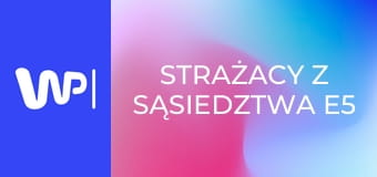 Strażacy z sąsiedztwa E5