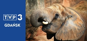 Prywatne życie zwierząt S3E7 - W służbie człowieka