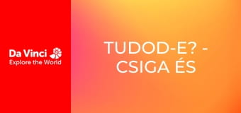 Tudod-e? - Csiga és traktor Tudod-e? - Csiga és traktor