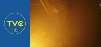 Klątwa Wyspy Dębów S3E14