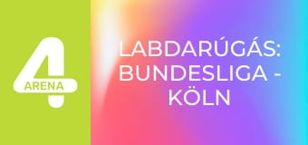 Labdarúgás: Bundesliga - Köln – Borussia Dortmund
