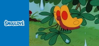 Létající koník se zlatými podkovami