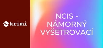 NCIS - Námorný vyšetrovací úrad S7E22 - Pohraničie