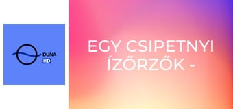 Egy csipetnyi Ízőrzők - Burgonyával rakott cukkini