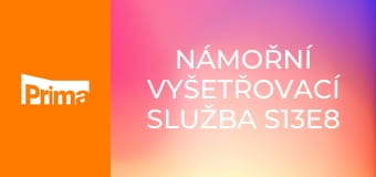Námořní vyšetřovací služba S13E8 - Zachránci