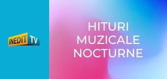 Hituri muzicale nocturne