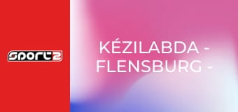 Kézilabda - Flensburg - Leipzig