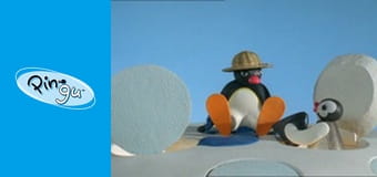 The Pingu Show Sezon 1 Odcinek 12