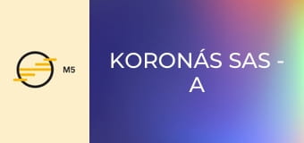 Koronás sas - A Jagello-ház - A találó metafórák ideje
