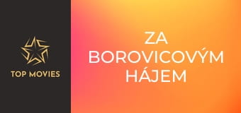 Za borovicovým hájem