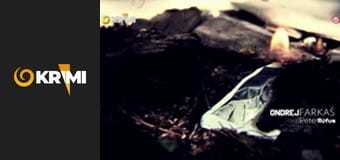 Prvé oddelenie E12 - Únos ženícha