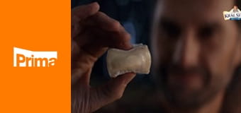 Jazzem válku nevyhrajete!