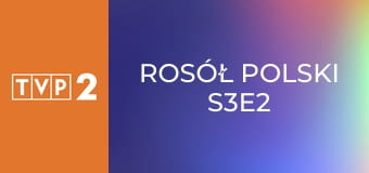 Rosół polski S3E2