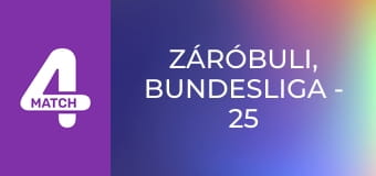 ZáróBuLi, Bundesliga - 25. forduló, összefoglaló műsor