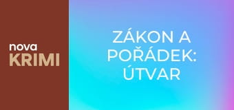 Zákon a pořádek: Útvar pro zvláštní oběti S26E10 - Univerzální klíč