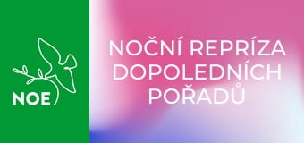 Noční repríza dopoledních pořadů