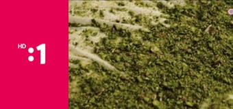 Na kráľovskej tabuli E2 - Turecko