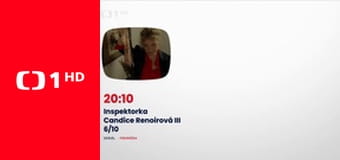 13. komnata Hany Třeštíkové