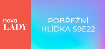 Pobřežní hlídka S9E22