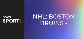 NHL: Boston Bruins - Pittsburgh Penguins