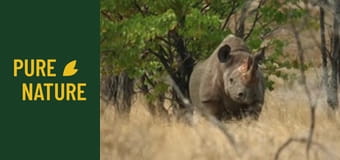 Африканска дива природа: Носорози и хипопотами