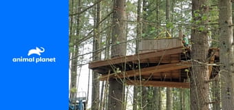 Házak a fa tetején S3E13 - Műhely kiadás