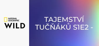 Tajemství tučňáků S1E2 - Rebelové z podstaty