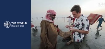 Jazdy na ťavách a ako Mongoli prežívajú krutú zimu. Čína.